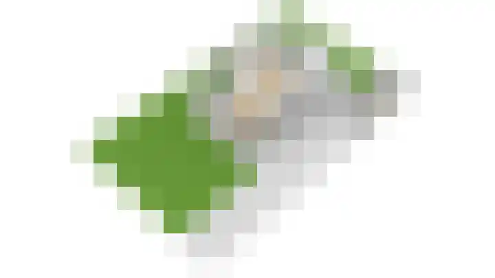 Graaf Janlaan 27 Zeist thumbnail 47