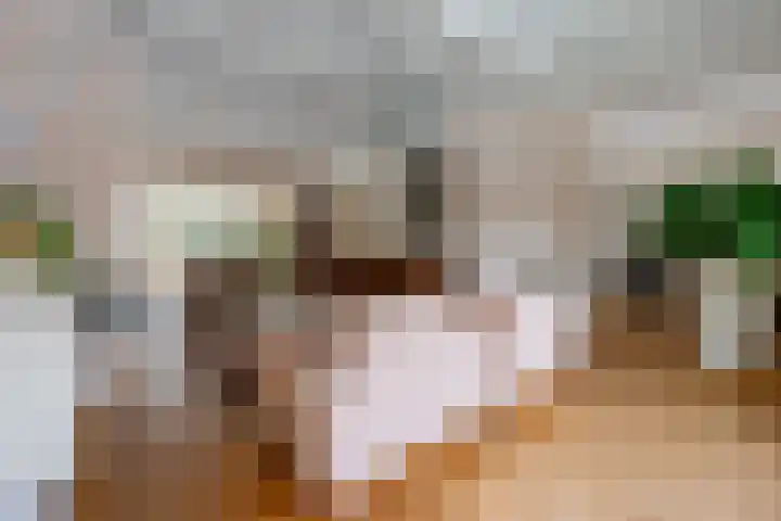 Graaf Janlaan 27 Zeist thumbnail 6