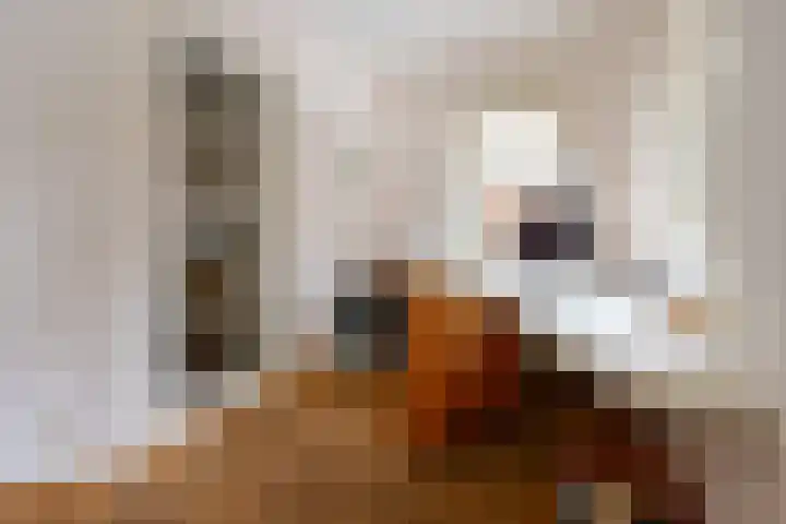 Graaf Janlaan 27 Zeist thumbnail 7