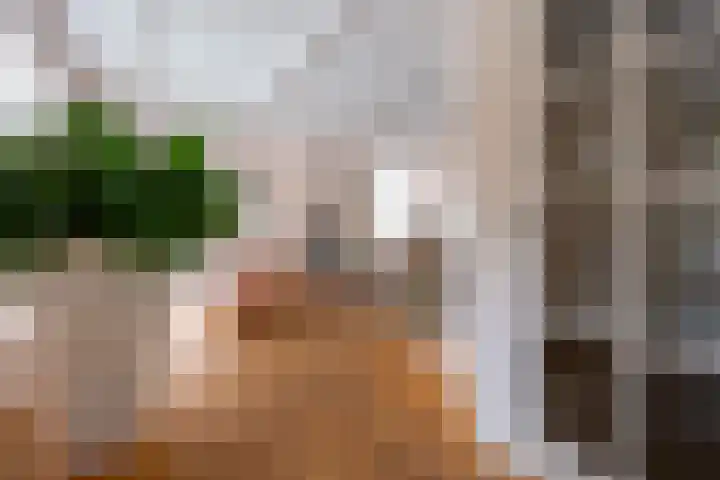 Graaf Janlaan 27 Zeist thumbnail 8