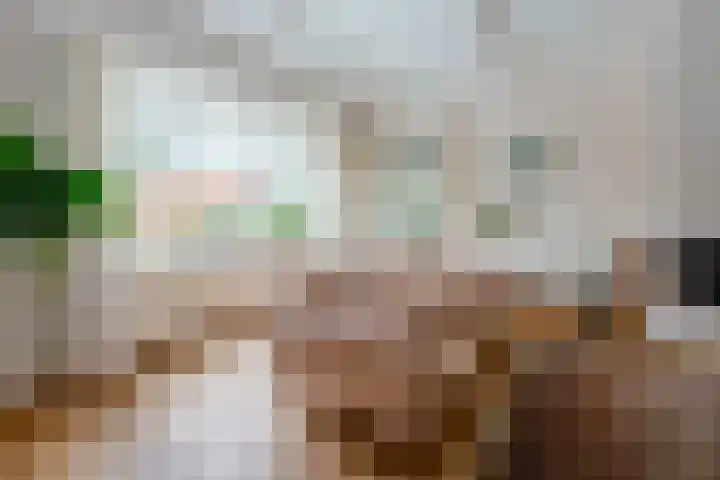 Graaf Janlaan 27 Zeist thumbnail 9