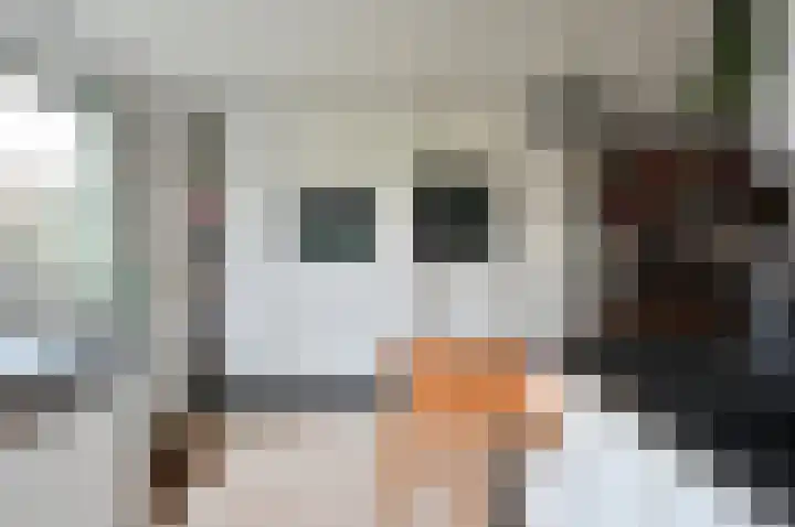 Graaf Janlaan 31 Naarden thumbnail 14
