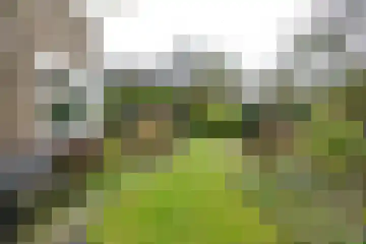 Graaf Janlaan 31 Naarden thumbnail 31