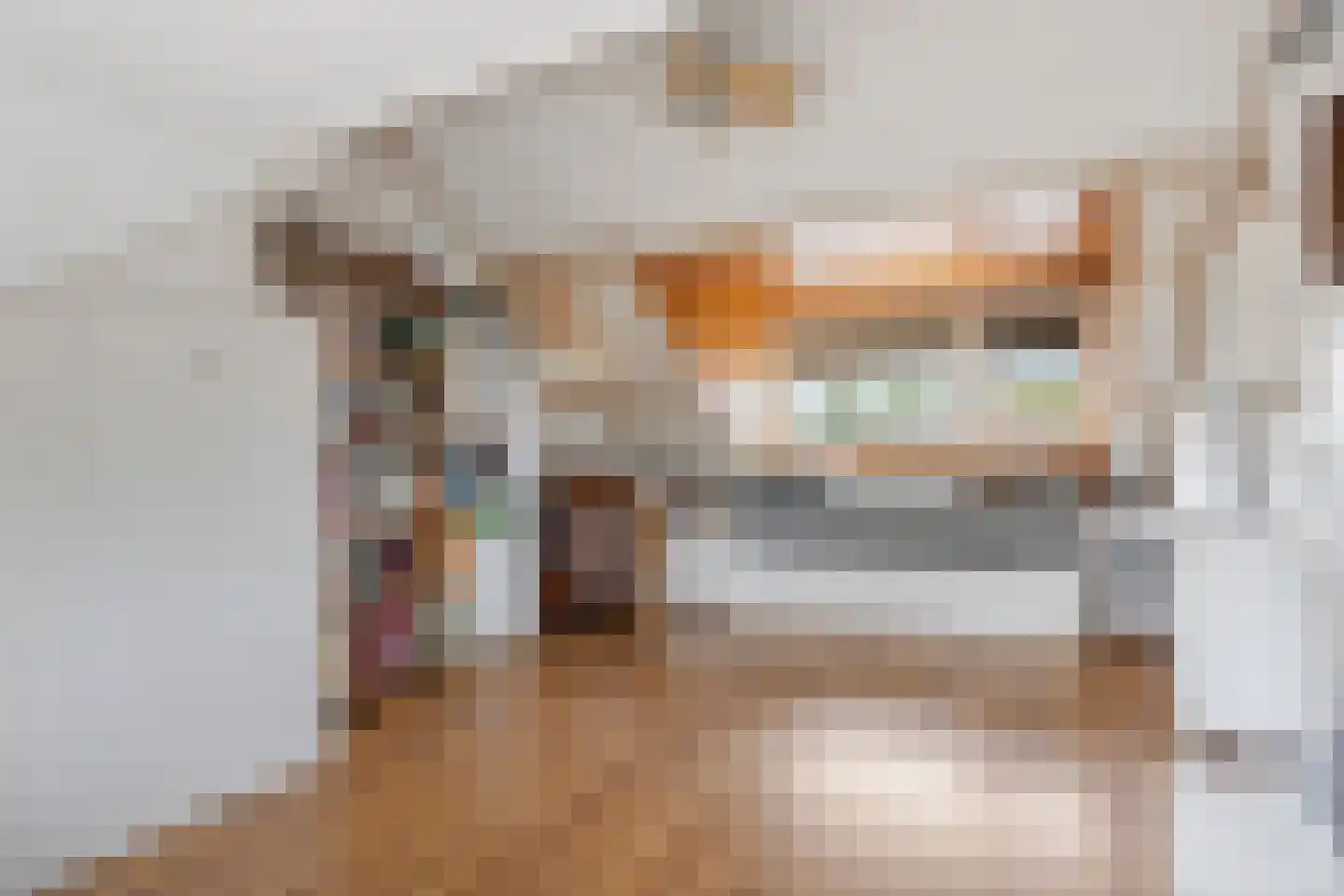 Graaf Janlaan 37 Leidschendam thumbnail 25