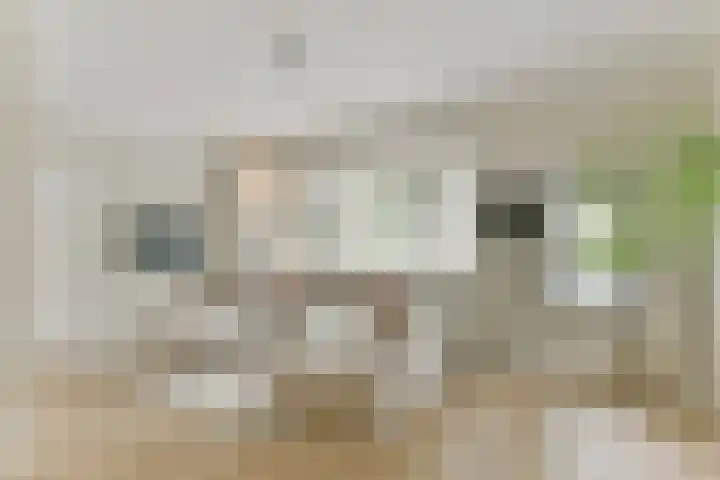 Graaf Janlaan 51 Zeist thumbnail 10
