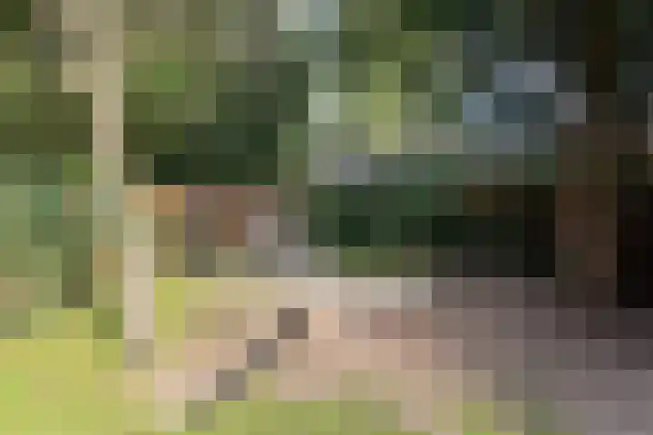 Graaf Janlaan 51 Zeist thumbnail 28