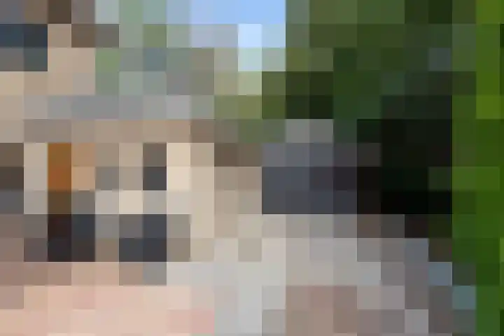 Graaf Janlaan 51 Zeist thumbnail 32