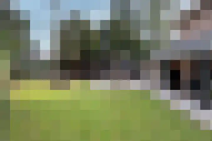 Graaf Janlaan 51 Zeist thumbnail 4