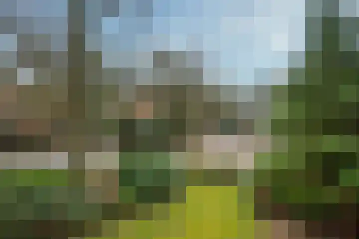 Graaf Janlaan 51 Zeist thumbnail 43