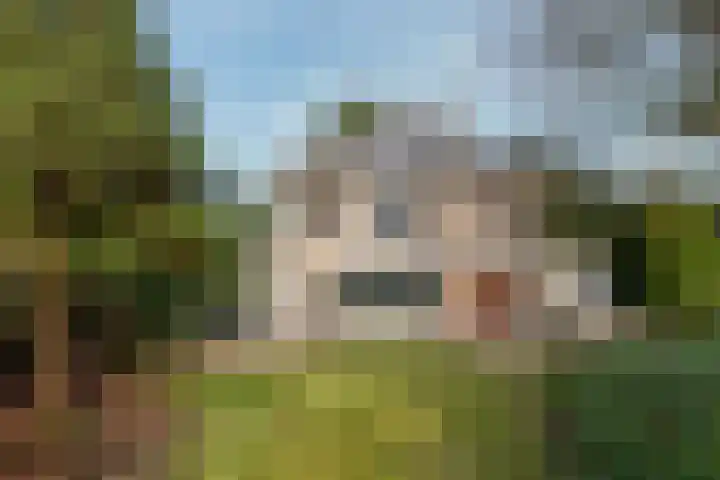 Graaf Janlaan 51 Zeist thumbnail 53