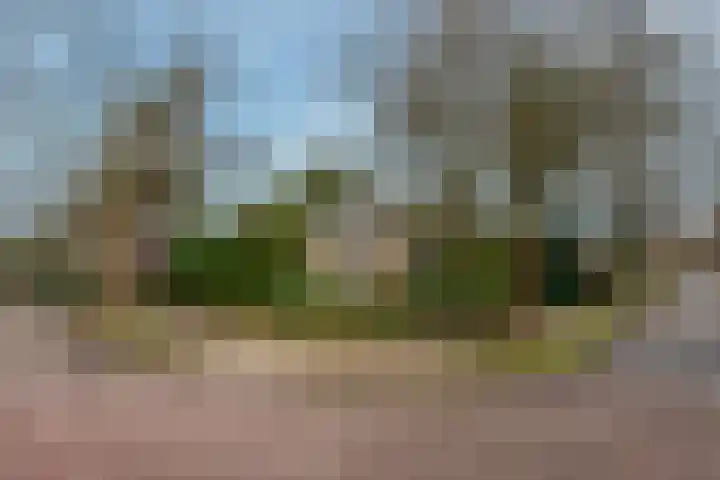 Graaf Janlaan 51 Zeist thumbnail 56