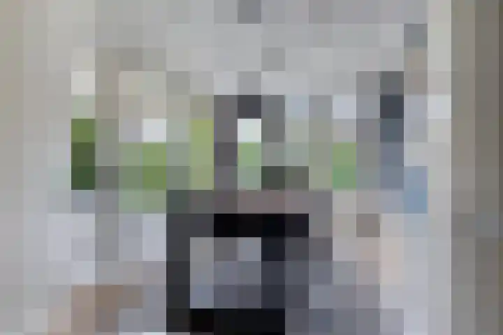Graaf Janlaan 57 Hillegom thumbnail 12