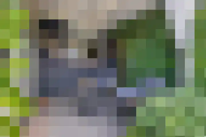 Graaf Janlaan 57 Hillegom thumbnail 35