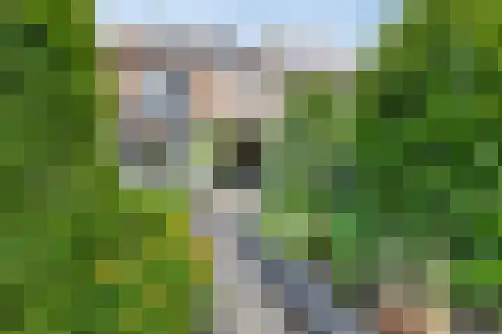 Graaf Janlaan 57 Hillegom thumbnail 4