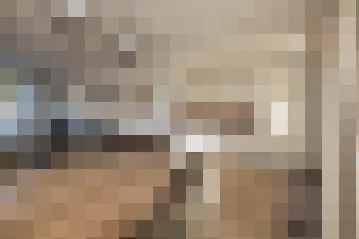 Graaf Janlaan 70 Hillegom thumbnail 12