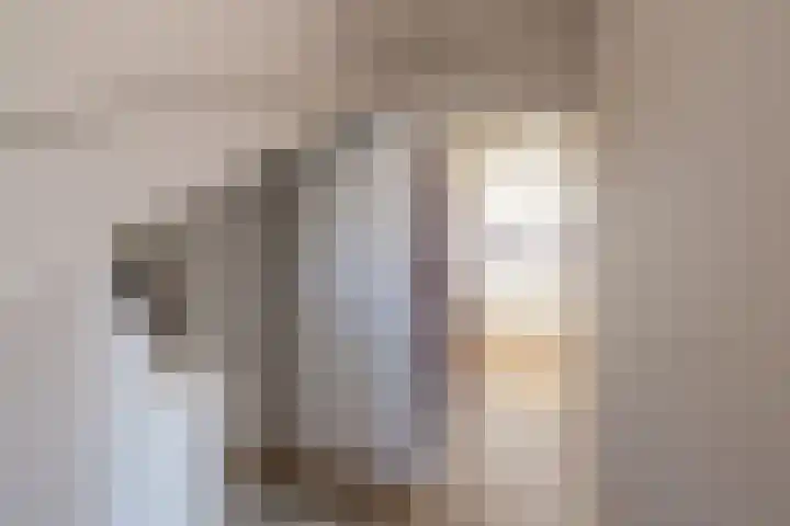 Graaf Janlaan 70 Hillegom thumbnail 38