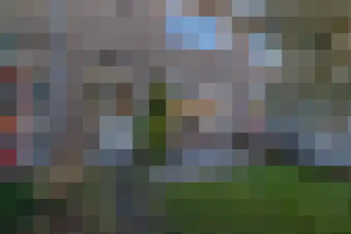 Graaf Janlaan 70 Hillegom thumbnail 50