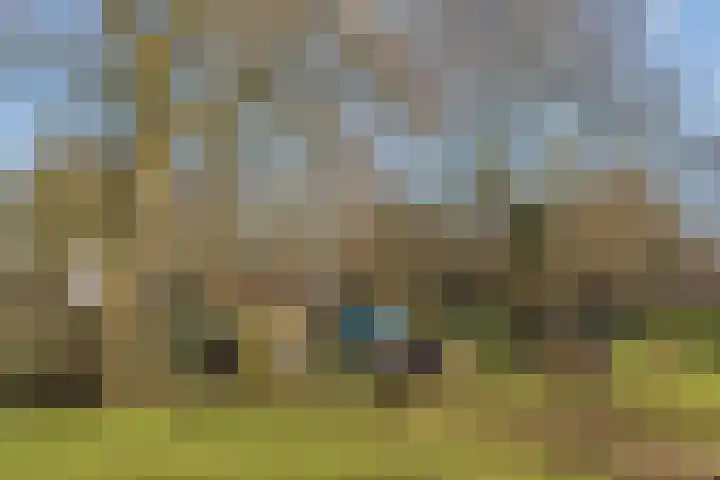 Graaf Janlaan 70 Hillegom thumbnail 57