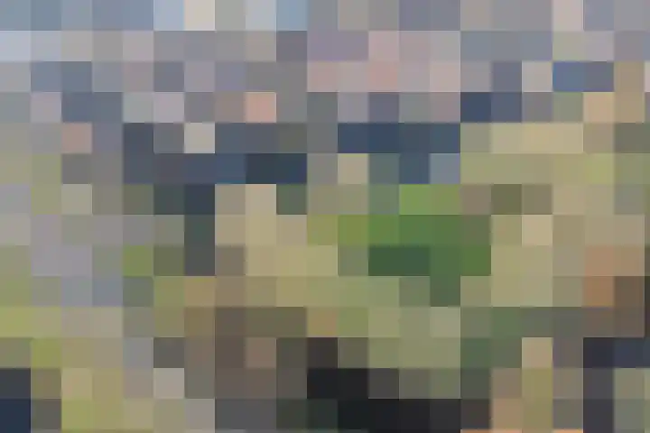 Graaf Janlaan 70 Hillegom thumbnail 62