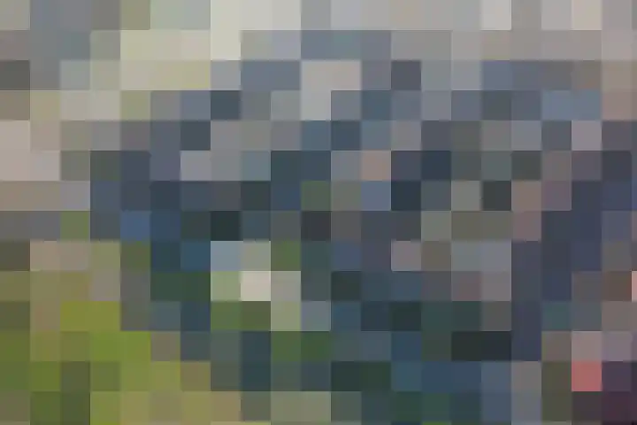 Graaf Janlaan 70 Hillegom thumbnail 63