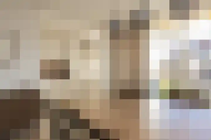 Graaf Janlaan 70 Hillegom thumbnail 8
