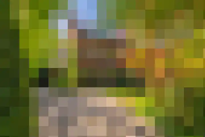 Graaf Janlaan 84 in Zeist