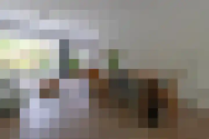 Graaf Janlaan 84 Zeist thumbnail 11