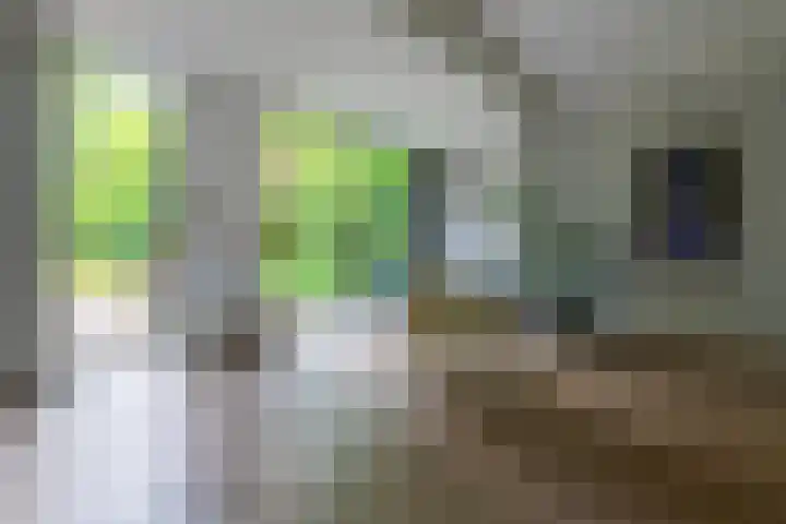 Graaf Janlaan 84 Zeist thumbnail 13