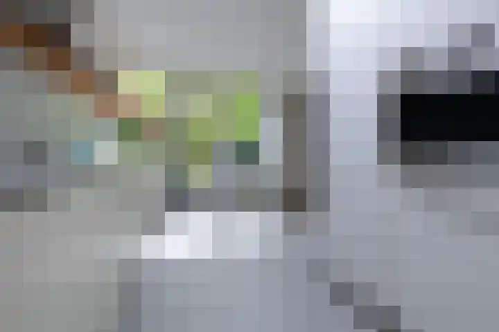 Graaf Janlaan 84 Zeist thumbnail 16