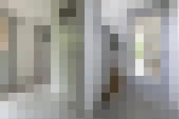 Graaf Janlaan 84 Zeist thumbnail 18