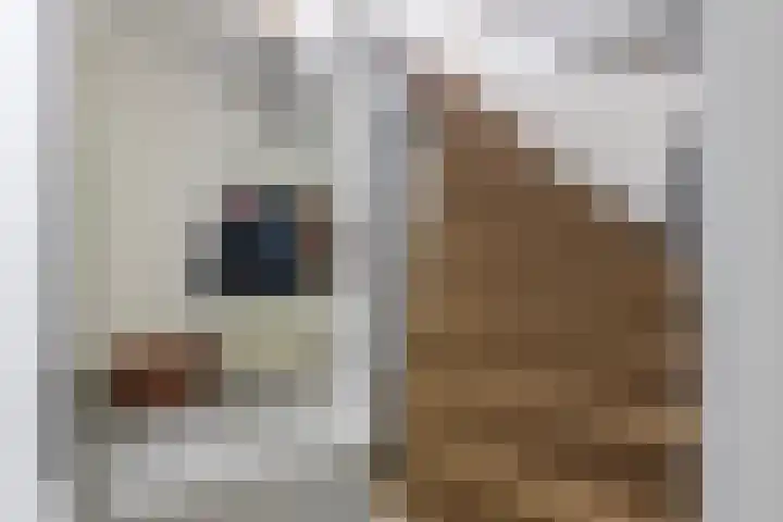 Graaf Janlaan 84 Zeist thumbnail 19