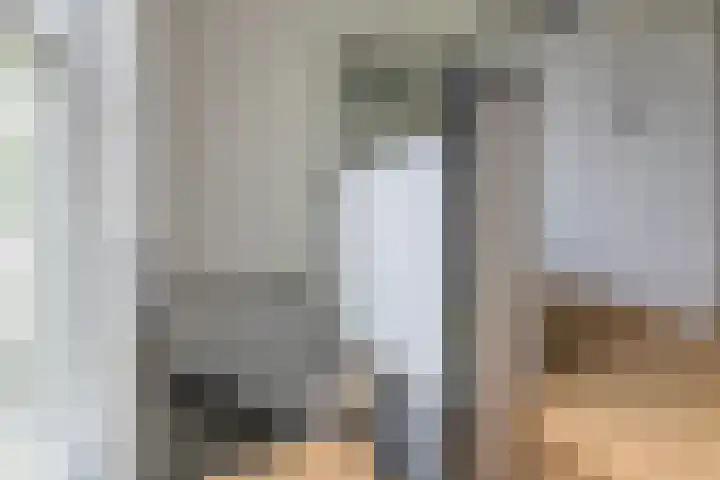 Graaf Janlaan 84 Zeist thumbnail 20