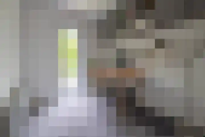 Graaf Janlaan 84 Zeist thumbnail 24