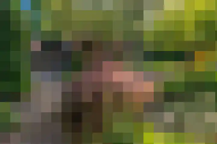 Graaf Janlaan 84 Zeist thumbnail 33