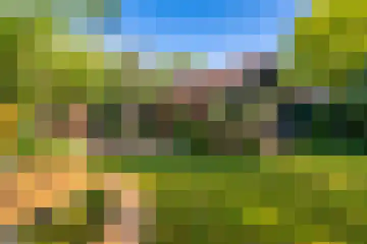 Graaf Janlaan 84 Zeist thumbnail 34