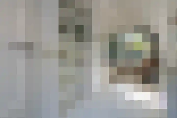 Graaf Janlaan 84 Zeist thumbnail 35