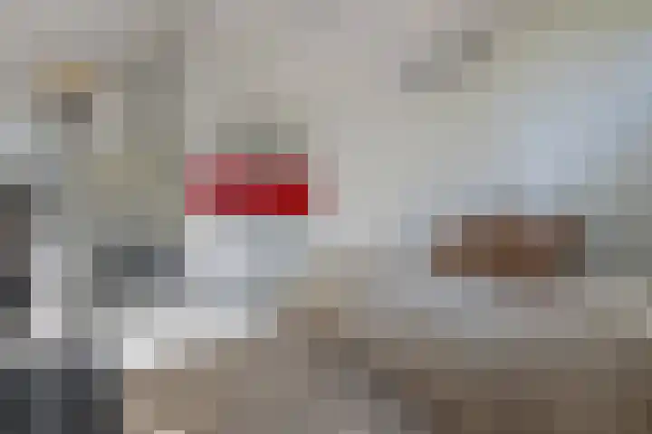 Graaf Janlaan 84 Zeist thumbnail 36