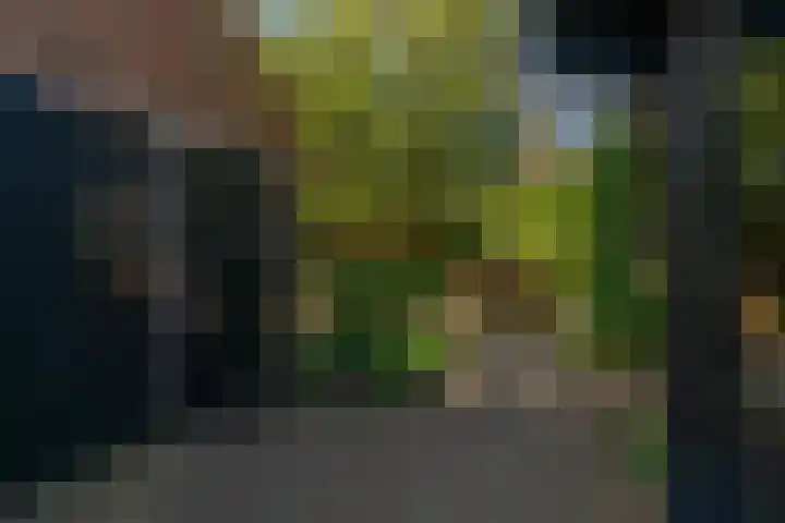 Graaf Janlaan 84 Zeist thumbnail 39