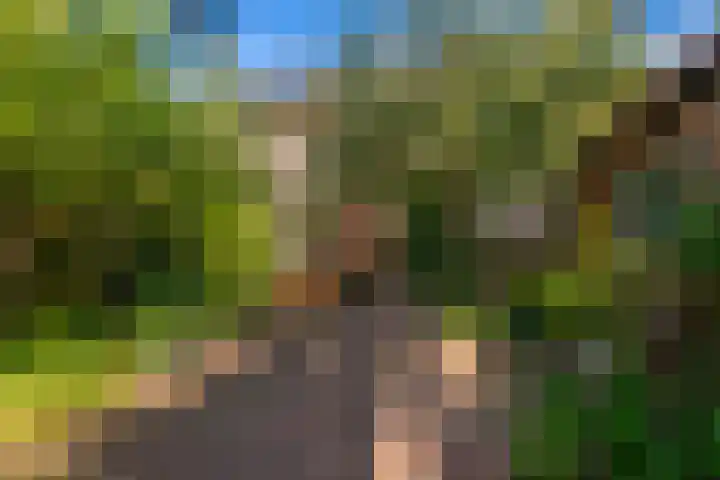 Graaf Janlaan 84 Zeist thumbnail 40