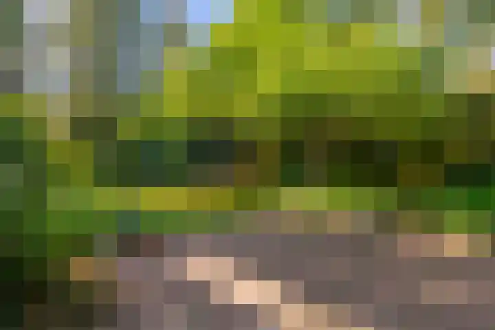 Graaf Janlaan 84 Zeist thumbnail 41