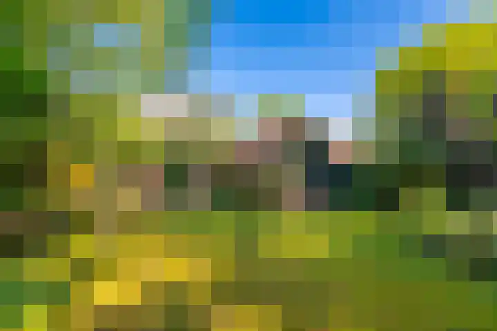 Graaf Janlaan 84 Zeist thumbnail 42