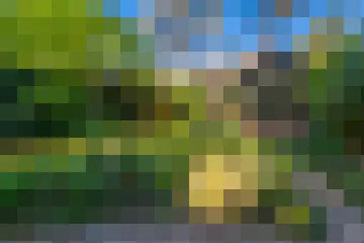Graaf Janlaan 84 Zeist thumbnail 43