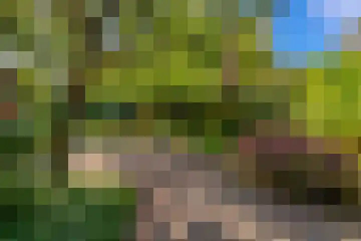Graaf Janlaan 84 Zeist thumbnail 44
