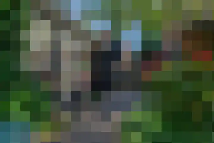 Graaf Janlaan 84 Zeist thumbnail 45