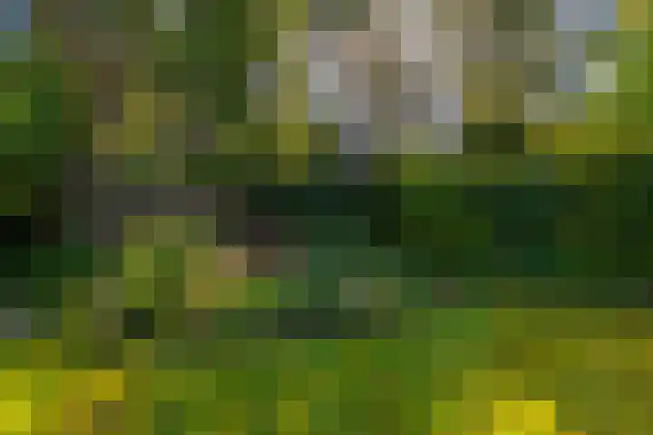 Graaf Janlaan 84 Zeist thumbnail 46