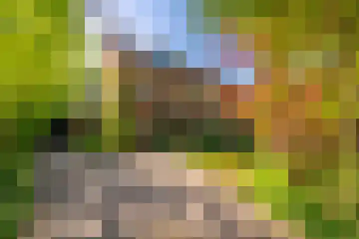Graaf Janlaan 84 Zeist thumbnail 47