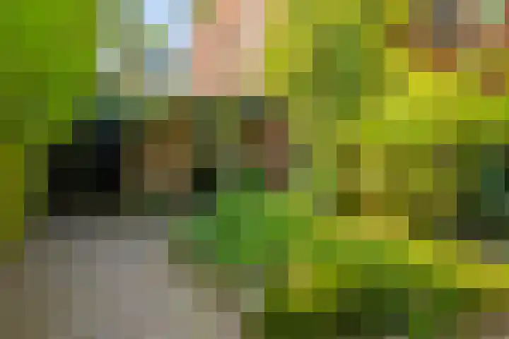 Graaf Janlaan 84 Zeist thumbnail 48