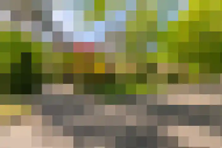 Graaf Janlaan 84 Zeist thumbnail 49