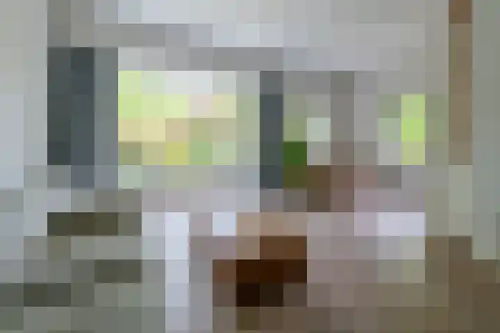 Graaf Janlaan 84 Zeist thumbnail 5