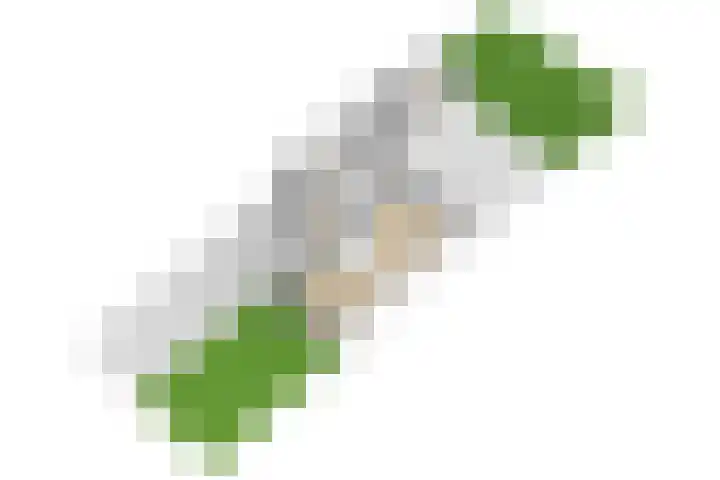 Graaf Janlaan 84 Zeist thumbnail 56